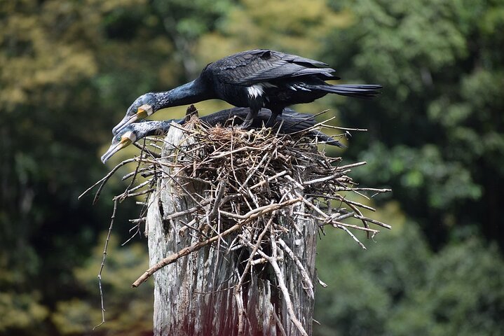Explore The Rustic Life Of Thekkady