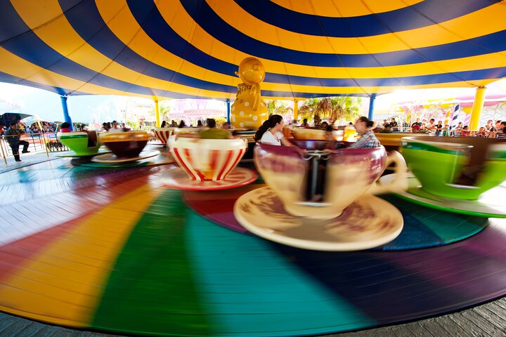 Round Trip Beto Carrero World from Balneario Camboriu