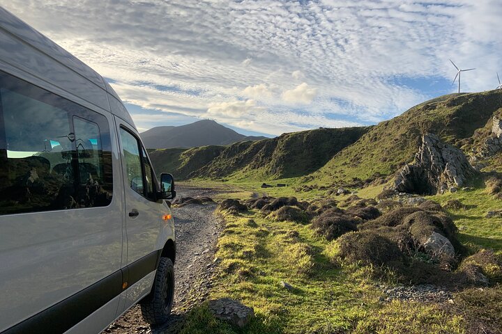 Seal Coast Safari - Exclusive access to Wellington's secret coast