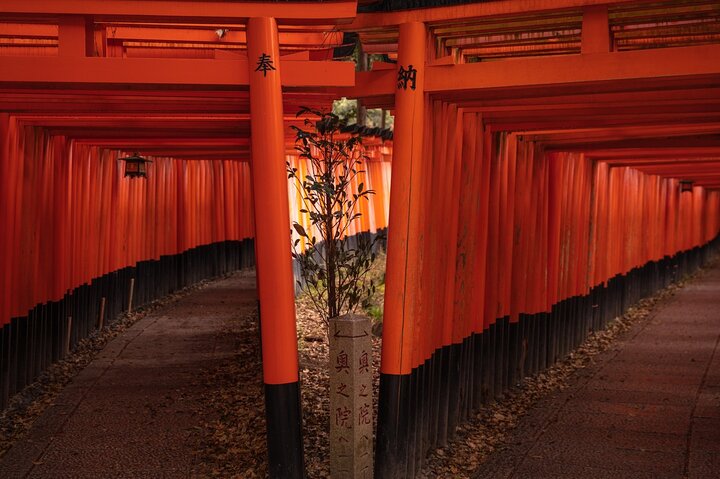 10 Must-see Spots in Kyoto One Day Private Tour