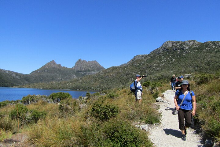Launceston: Cradle Mountain Adventure - Active Day Tour