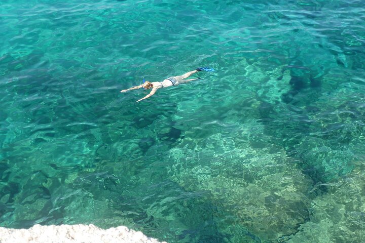 Boat tour to explore the Marine Protected Area of Tavolara