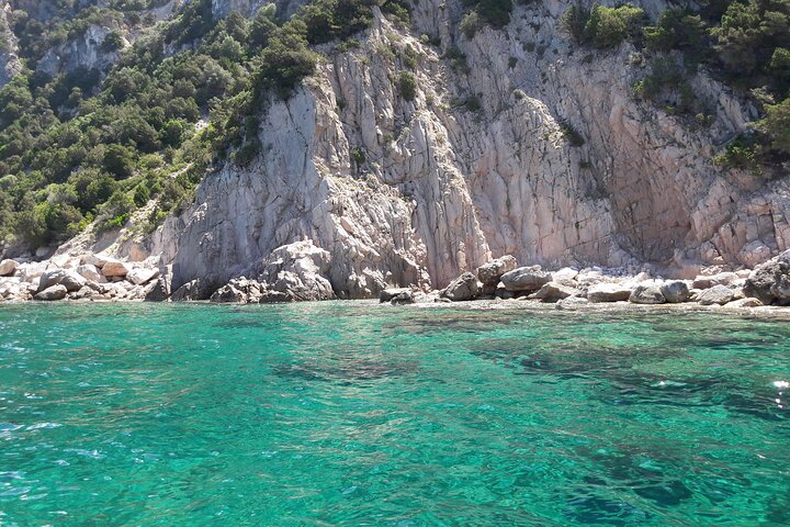 Boat tour to explore the Marine Protected Area of Tavolara