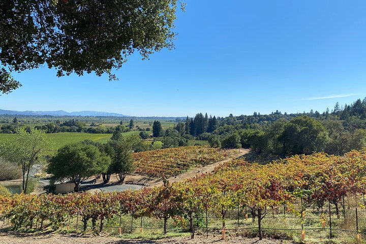 Sonoma County Join-In Group Wine Tasting Tours
