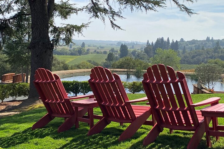 Sonoma County Join-In Group Wine Tasting Tours