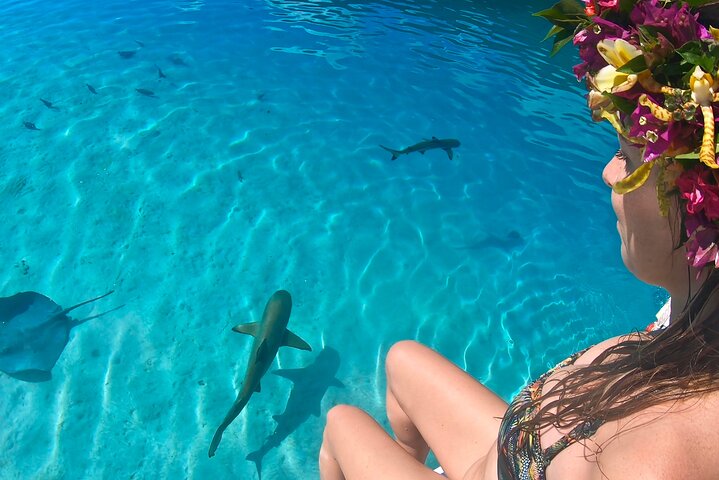 PRIVATE Half Day Tour : Moorea Snorkeling & Sailing on a Catamaran named Taboo