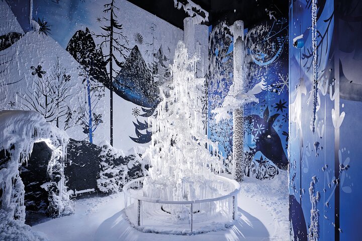 Swarovski Crystal Worlds Admission Ticket Including Shuttle Transfer from Innsbruck