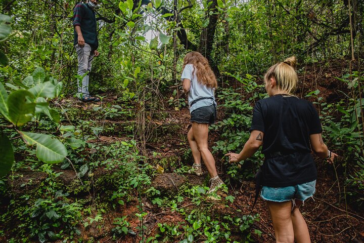 Full-Day Chorao Island Nature, Heritage & Cooking Experience