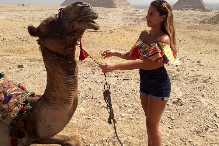 Cairo 8 Hour Private Tour of Pyramids & Grand Egyptian Museum