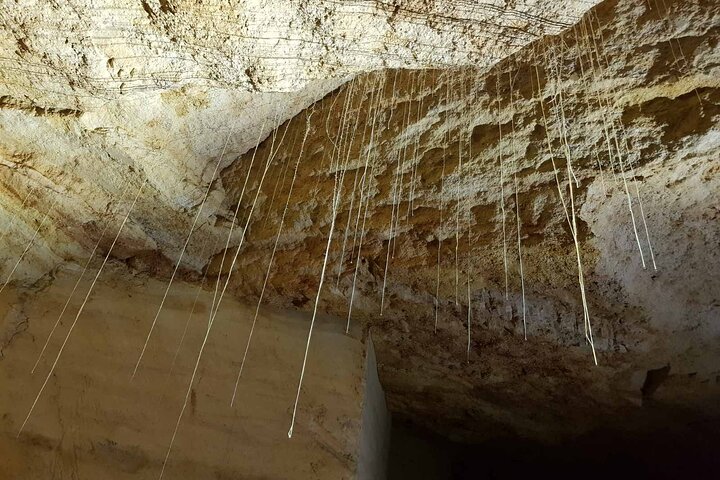 Private Walking Tour of Odessa Catacombs with Hotel Pick up