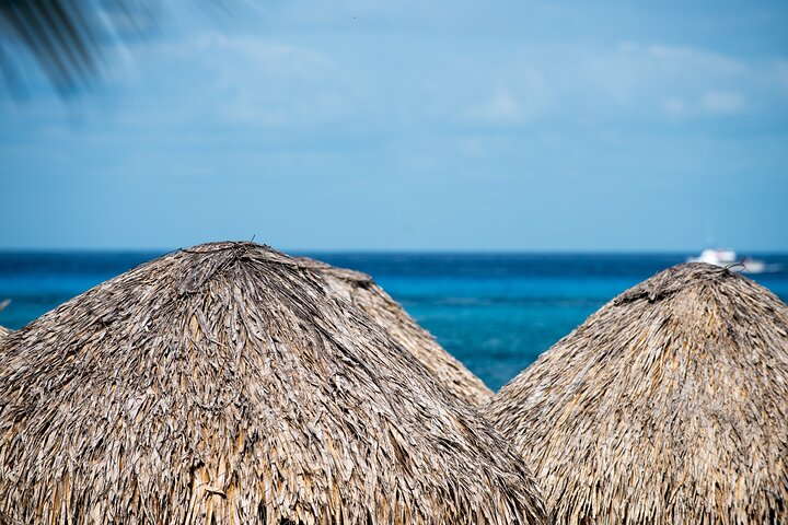 Mr. Sanchos Beach Club All-Inclusive Day Pass