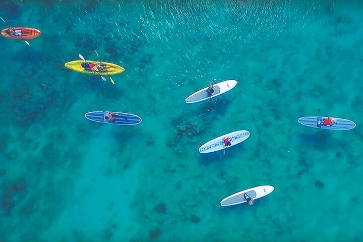 Magic Mangrove Paddle in Beef Island Lagoon