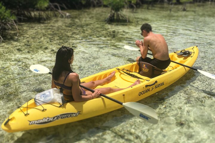 Magic Mangrove Paddle in Beef Island Lagoon