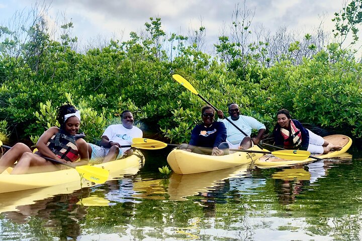 Magic Mangrove Paddle in Beef Island Lagoon