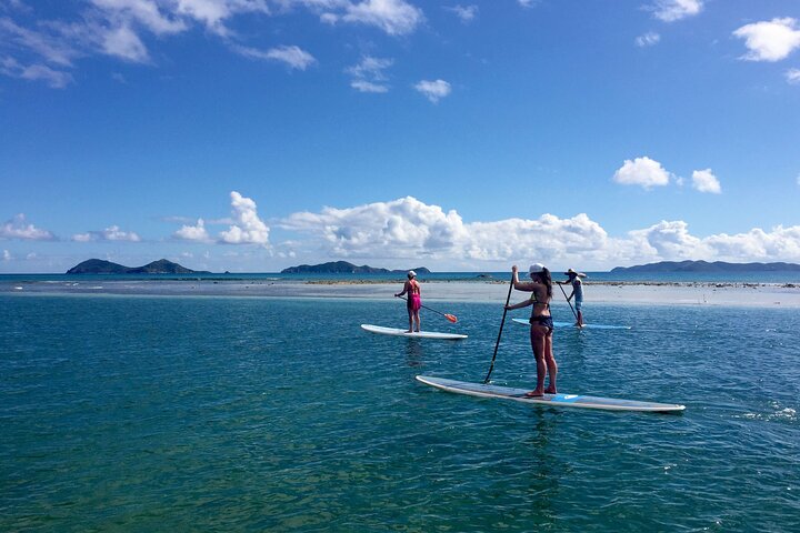 Magic Mangrove Paddle in Beef Island Lagoon
