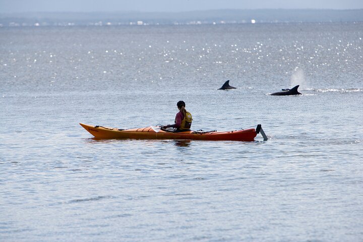 Half-Day Jervis Bay Sea Kayak Tour