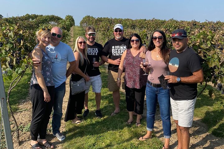 Private:Brewery, Winery, and Cider & Spirit Tastings Tour in SW Ontario