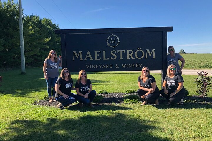 Private:Brewery, Winery, and Cider & Spirit Tastings Tour in SW Ontario