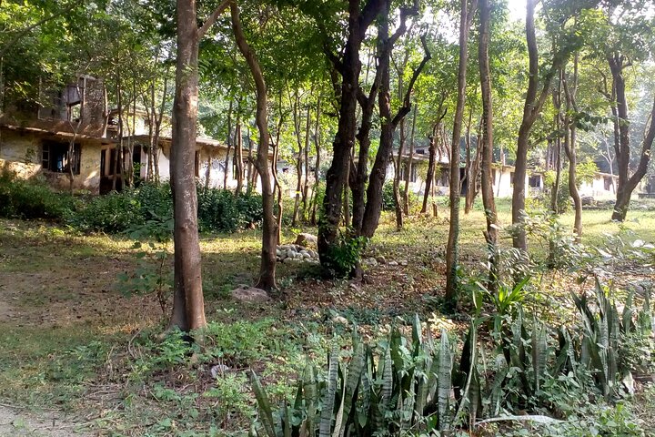 Rishikesh: Beatles Ashram Art & Meditation Heritage Walk