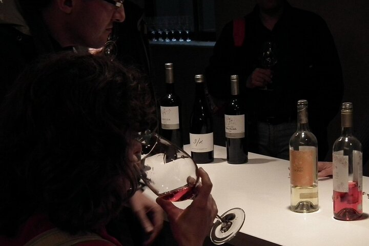 Private Wine and Oil Tour in the Priorat Wine Region