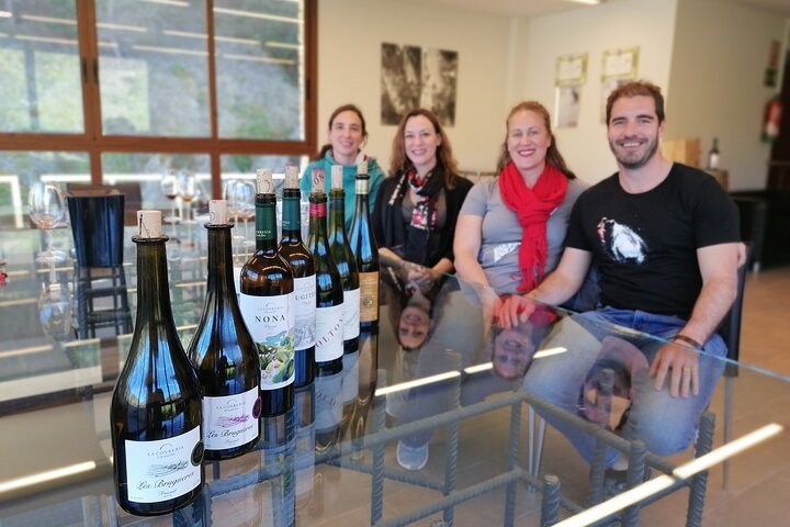 Private Wine and Oil Tour in the Priorat Wine Region