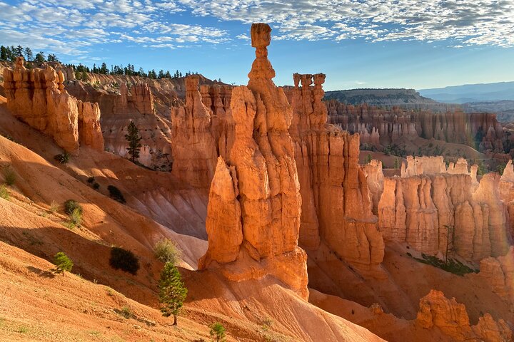 Bryce Canyon National Park: Private Guided Hike & Picnic