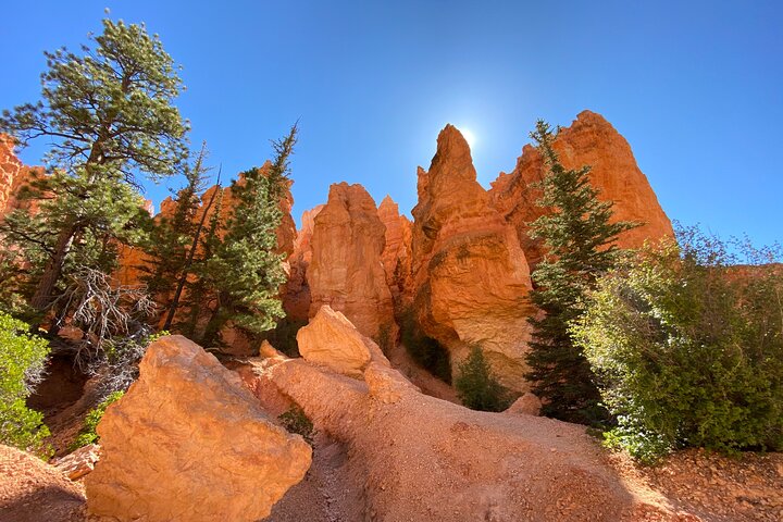Bryce Canyon National Park: Private Guided Hike & Picnic