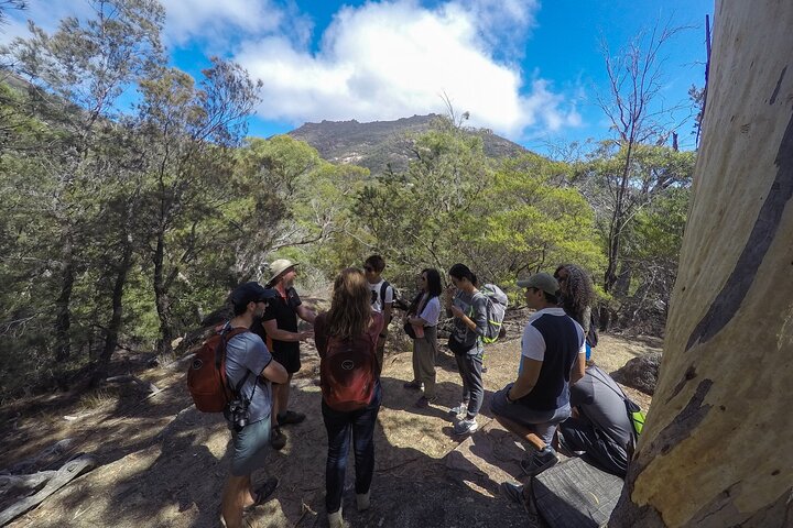 Launceston: Wineglass Bay & Freycinet Explorer Day Trip