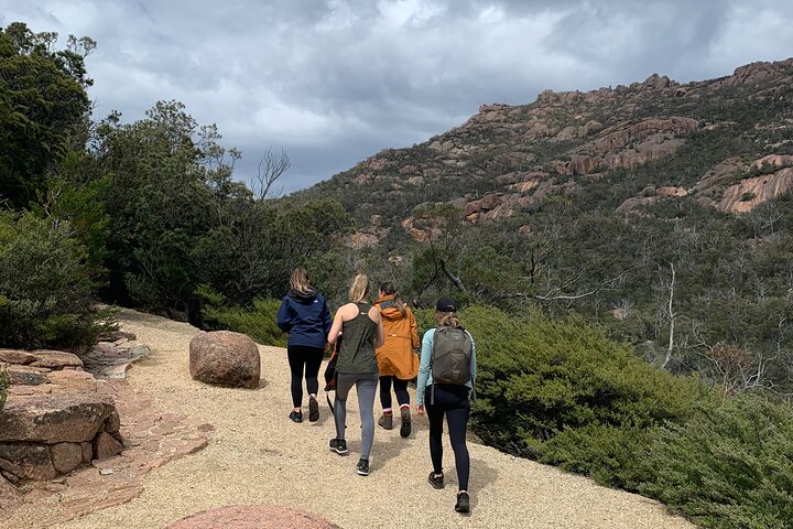 Launceston: Wineglass Bay & Freycinet Explorer Day Trip