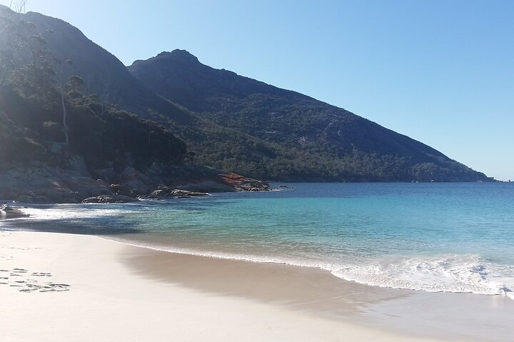 Launceston: Wineglass Bay & Freycinet Explorer Day Trip