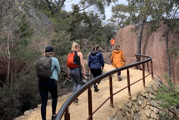 Launceston: Wineglass Bay & Freycinet Explorer Day Trip