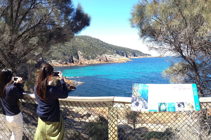 Launceston: Wineglass Bay & Freycinet Explorer Day Trip