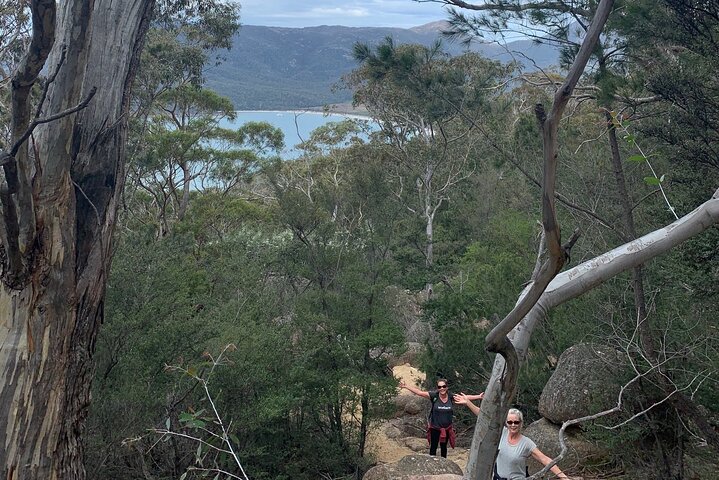 Launceston: Wineglass Bay & Freycinet Explorer Day Trip