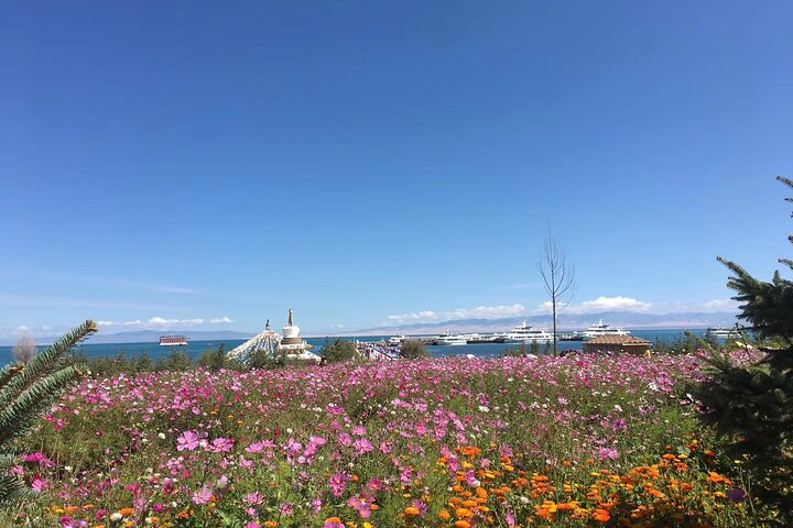 Private Day Tour to Qinghai Lake and Chaka Salt Lake from Xining