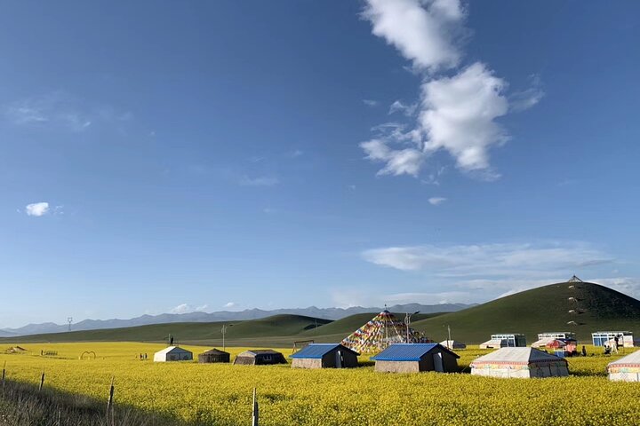Private Day Tour to Qinghai Lake and Chaka Salt Lake from Xining