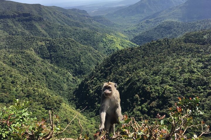 Mauritius full day tour : Private south west with lunch