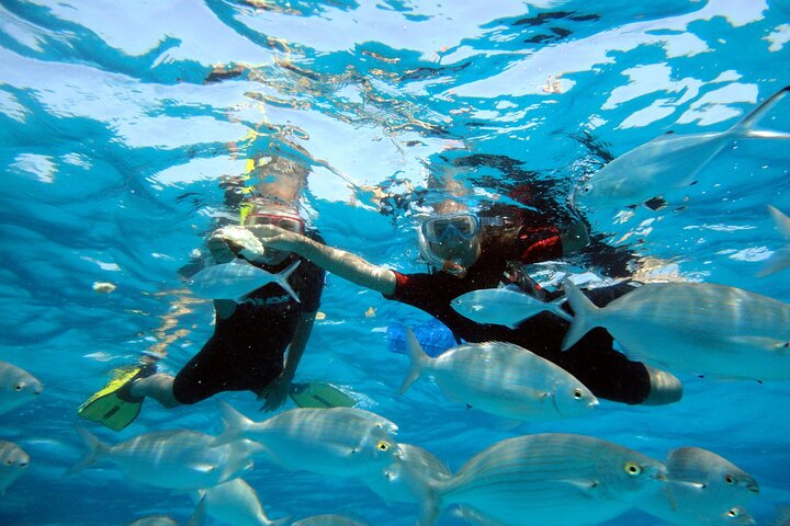 Private Catamaran trips to Lobos Island in Lagoon 400