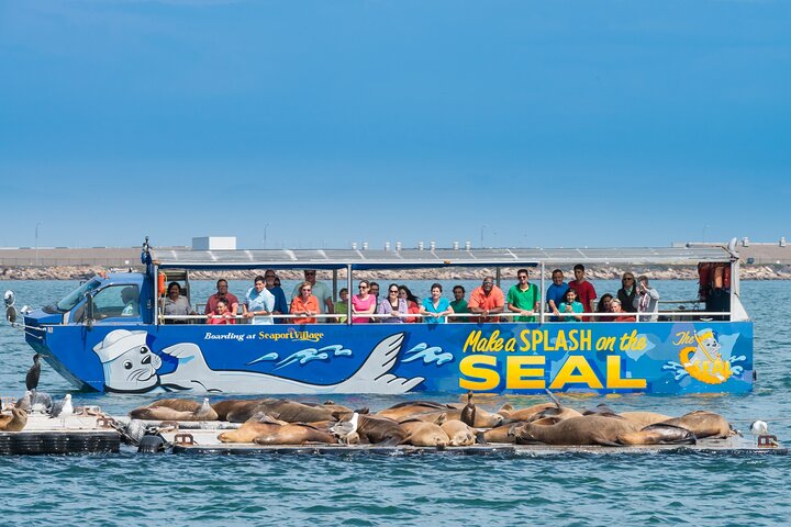 San Diego Seal Tour