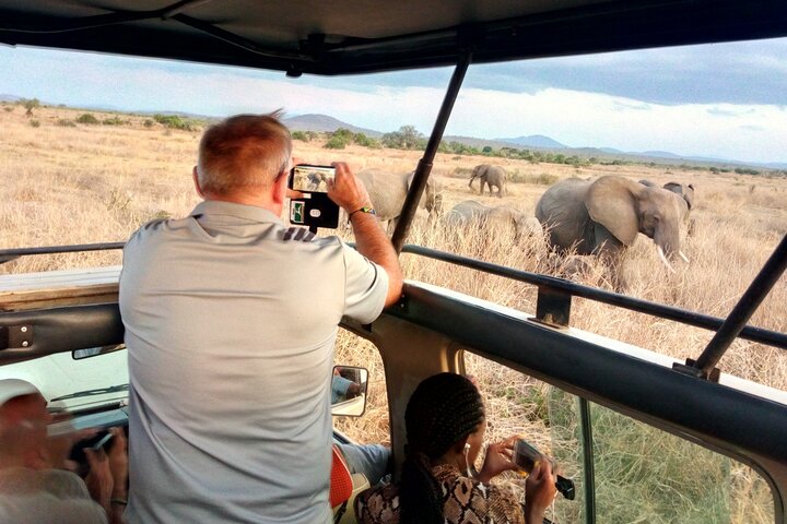 Kilimahewa safari full and real wild