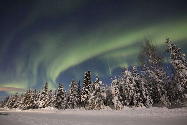 Guided Northern Lights Tour at Kiruna