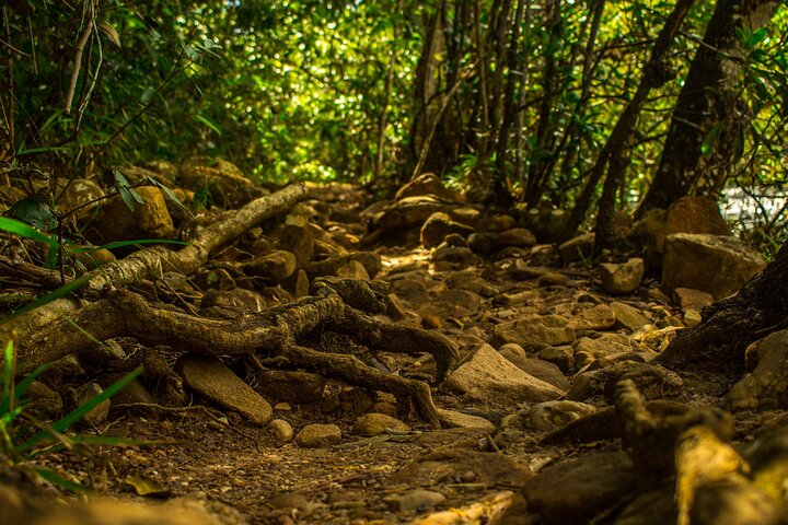 3 DAYS OF CHARM! Booking from 2 people - Chapada Diamantina by Zentur