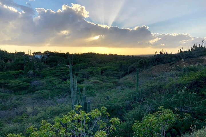 Aruba Jeep Tour: Natural Pool, Caves and Baby Beach Adventure