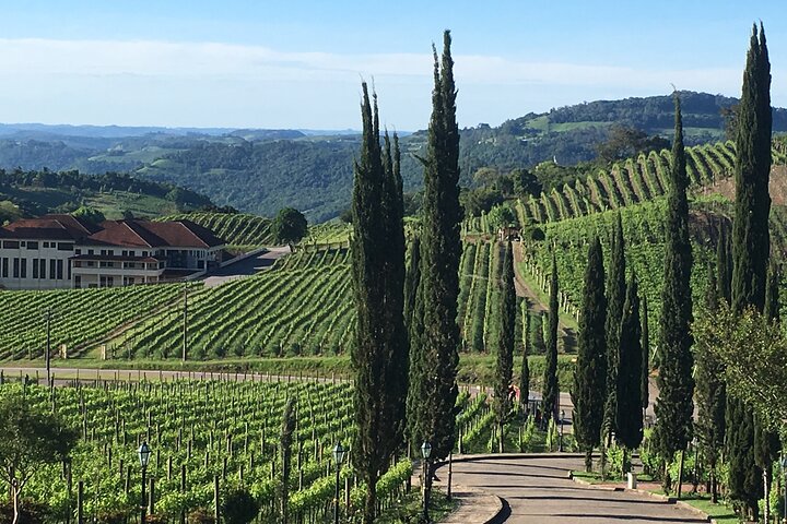 Private Tour in Vale dos Vinhedos in Bento Gonçalves RS