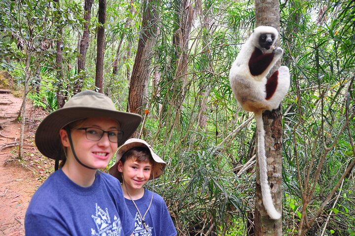 3-Day Private Tour to Andasibe National Park