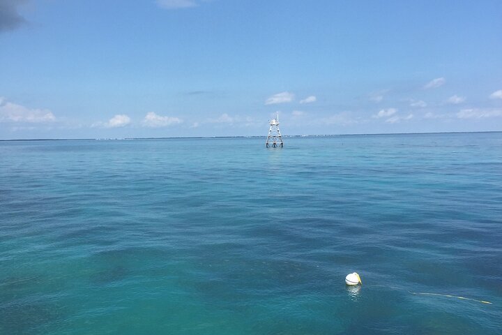 Key Largo Coral Reef Glass Bottom Boat Adventure