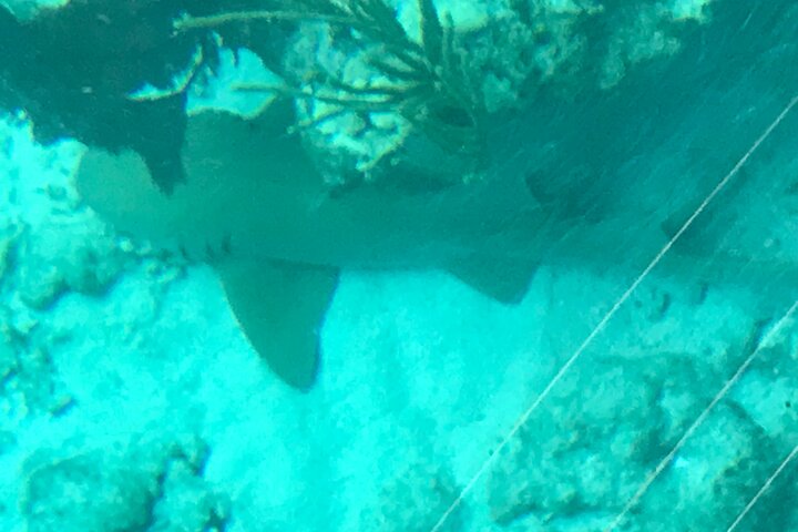Key Largo Coral Reef Glass Bottom Boat Adventure