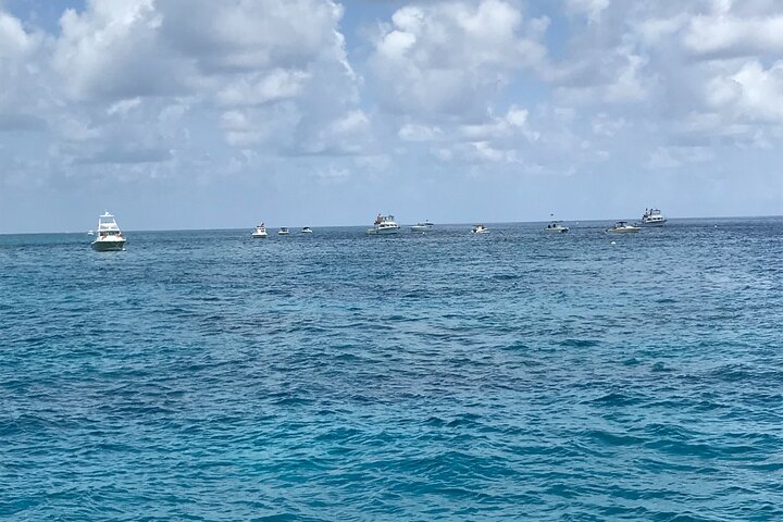 Key Largo Coral Reef Glass Bottom Boat Adventure