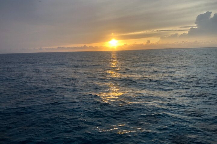 Key Largo Coral Reef Glass Bottom Boat Adventure