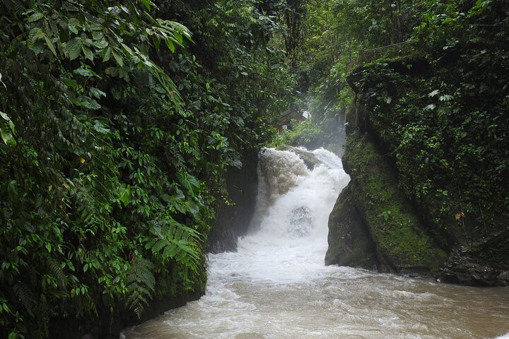 Full-Day Mindo Cloud Forest Tour Birdwatching Waterfalls and Hike
