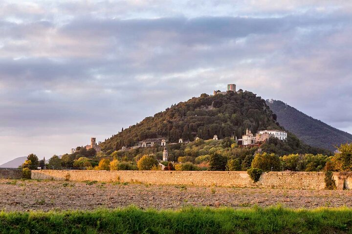 From Padua: Tour to the walled town of Monselice